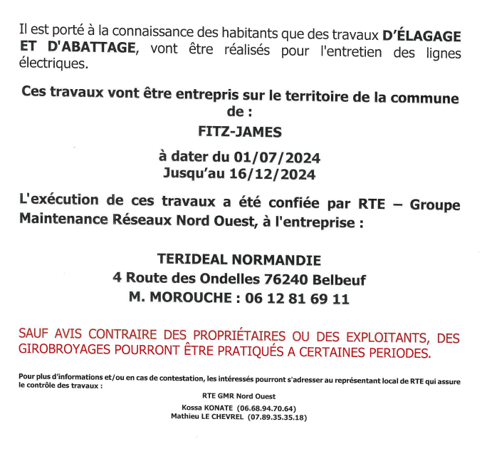 Travaux d’élagage et d’abattage